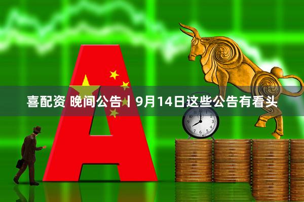 喜配资 晚间公告丨9月14日这些公告有看头