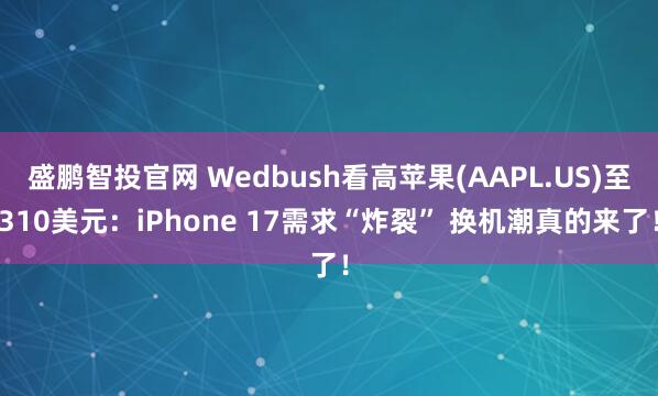 盛鹏智投官网 Wedbush看高苹果(AAPL.US)至310美元：iPhone 17需求“炸裂” 换机潮真的来了！