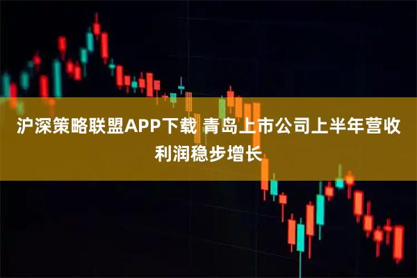 沪深策略联盟APP下载 青岛上市公司上半年营收利润稳步增长