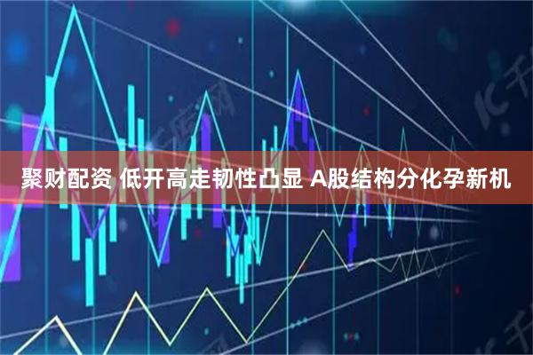 聚财配资 低开高走韧性凸显 A股结构分化孕新机