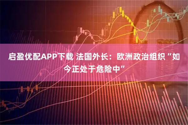 启盈优配APP下载 法国外长：欧洲政治组织“如今正处于危险中”
