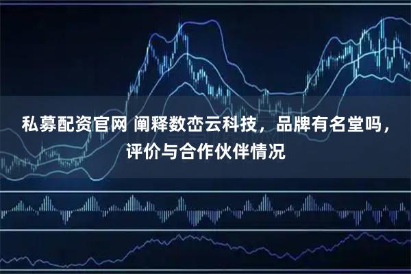 私募配资官网 阐释数峦云科技，品牌有名堂吗，评价与合作伙伴情况