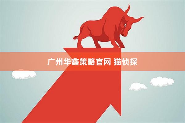 广州华鑫策略官网 猫侦探